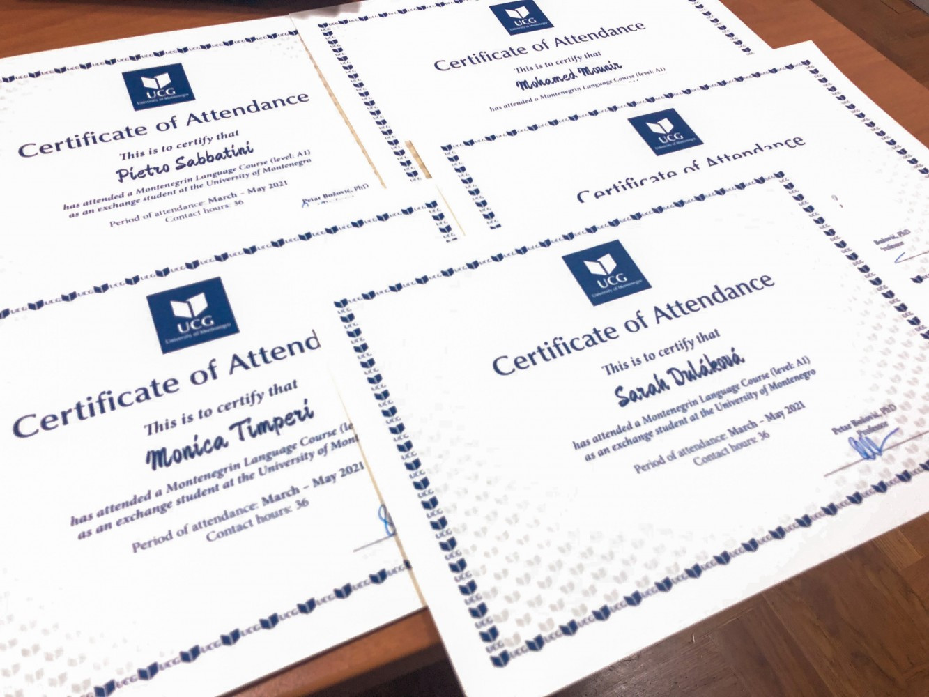 Univerzitet Crne Gore